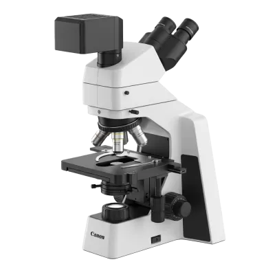 Imagen PNG para descargar